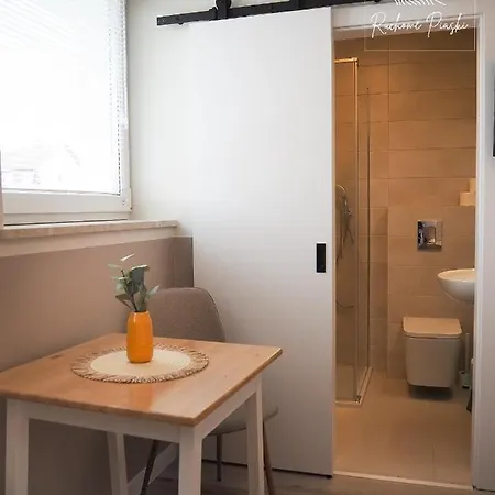 Ruchome Piaski Guest house Leba