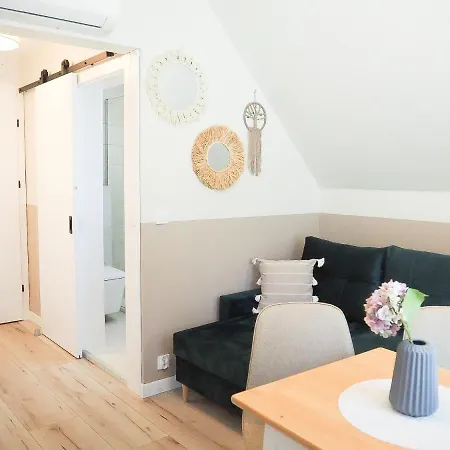 Gasthuis Ruchome Piaski 3*